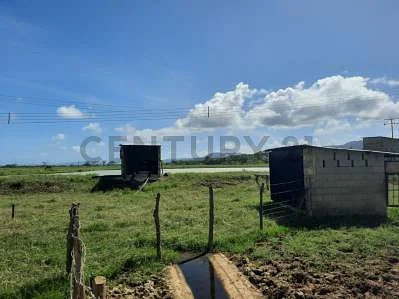 house for sale in Barrio Coro, Juan José Mora, Morón, Carabobo - Image 5