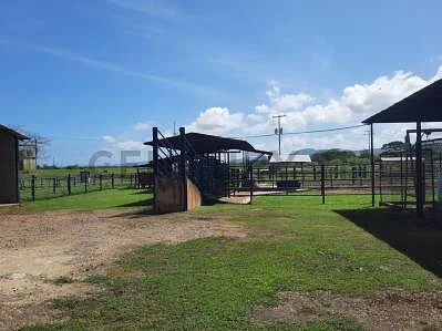 house for sale in Barrio Coro, Juan José Mora, Morón, Carabobo - Image 4