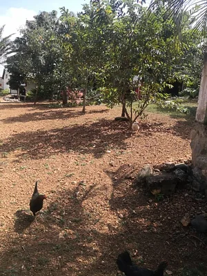 house Large 315Mts.2 land 3600Mts.2 Barquisimeto