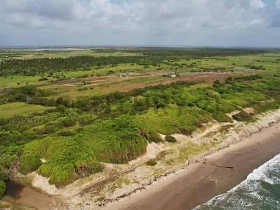 Sale of land in Chichiriviche, Iturriza, Chichiriviche, Falcón - Image 3