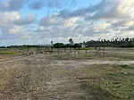 Sale of land in Chichiriviche, Iturriza, Chichiriviche, Falcón thumbnail 4
