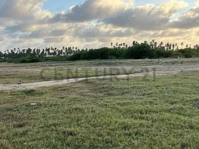 Sale of land in Chichiriviche, Iturriza, Chichiriviche, Falcón - Image 5