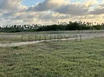 Sale of land in Chichiriviche, Iturriza, Chichiriviche, Falcón thumbnail 5