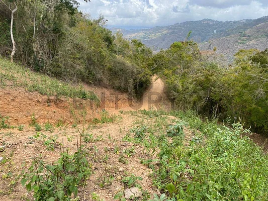 Sale of land in Oripoto, El Hatillo, Caracas, Miranda - Image 2