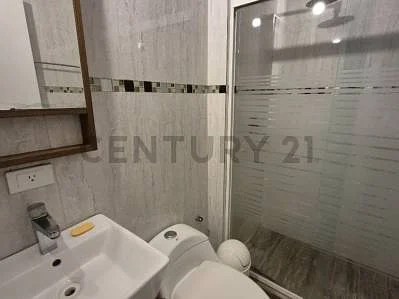 Master bathroom shower detail