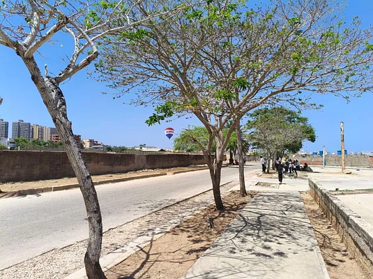 land Spacious, for sale, In Porlamar, AV.4 de Mayo, Nueva Esparta, Isla de Margarita, 18.334 mt2 - Inmuebles Margarita - 2 MIL - Image 10