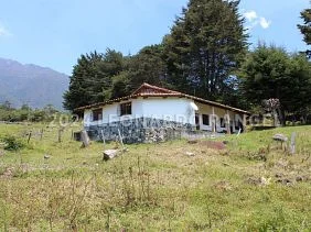 For Sale house with cabin in El Valle (Great tourist potential) - Image 2