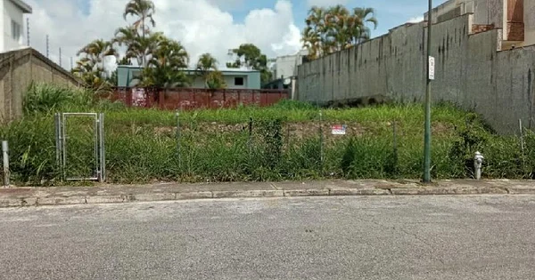 SALE OF PLOT LOS NARANJOS, EL CAFETAL - Avenida Sur 10 Parcela 26-51, 1083 CCS - Plot of land for sale