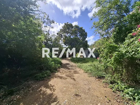 house with land Ample, for sale, Calle Colon, In Juan Griego, Nueva Esparta, Isla de Margarita, 1273,00 MT2, 6 bedrooms and 5 bathrooms - Inmuebles Margarita - 2 MIL - Image 5