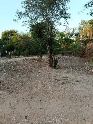 land, for sale, On Calle Carabobo, En La Guardia, Nueva Esparta, Isla de Margarita, Nueva Esparta, 1230 MT2 - Inmuebles Margarita - 2 MIL - Image 7