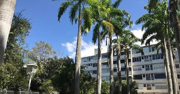BEAUTIFUL APARTMENT LOCATED ON PRIVATE STREET IN LOMAS DE CHUAO - CERRADA EN LOMAS DE CHUAO EMBASSADOR, 1071 CCS - 4 beds apartment for sale