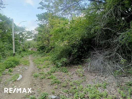 land, for sale, In Salamanca, Nueva Esparta, Isla de Margarita, 704 mt2 - Inmuebles Margarita - 2 MIL - Image 3
