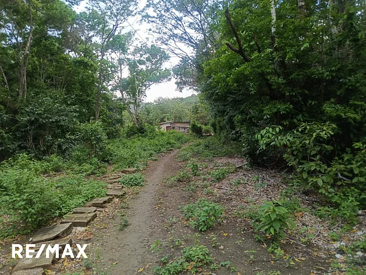 land, for sale, In Salamanca, Nueva Esparta, Isla de Margarita, 704 mt2 - Inmuebles Margarita - 2 MIL - Image 2