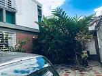 Alto Prado Townhouse House for sale Caracas - Alto Prado Avenida 2 Casa, 1080 CCS - 6 beds house for sale thumbnail 2