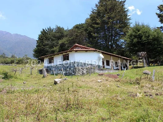 For Sale: This Beautiful farm/estate of 3 hectares in El Valle, Mérida.