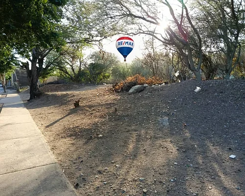 land, for sale, In Boqueron, San Juan Bautista, Nueva Esparta, Isla de Margarita, 9.613,28 sqm, 67,24 sqm frontage, 144,47 sqm depth - Inmuebles Margarita - 2 MIL - Image 5
