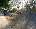 land, for sale, In Boqueron, San Juan Bautista, Nueva Esparta, Isla de Margarita, 9.613,28 sqm, 67,24 sqm frontage, 144,47 sqm depth - Inmuebles Margarita - 2 MIL thumbnail 5