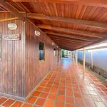 Spacious house just 200m from Juan Griego Bay thumbnail 2