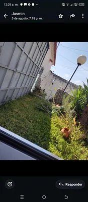 Selling house Carrizal Lomas de Urquía foreclosure
