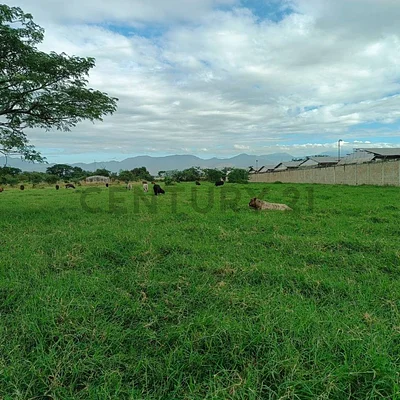 farm/estate for sale in Jardines de Turagua, José Rafael Revenga, El Consejo, Aragua