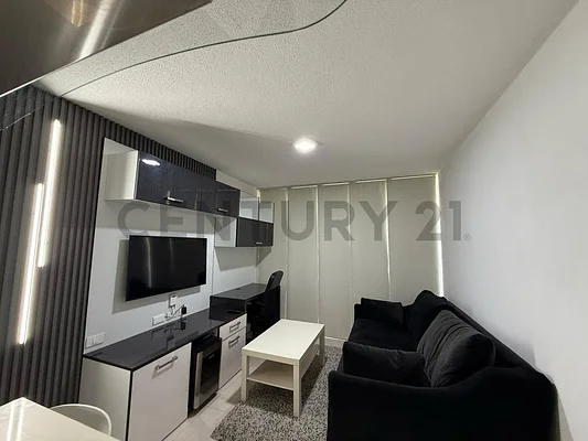Bright open living room