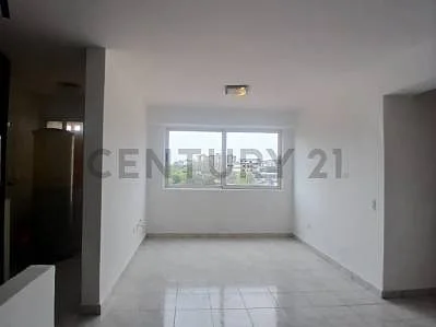 Cozy living room with sofa