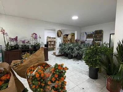 Building amenities or common area