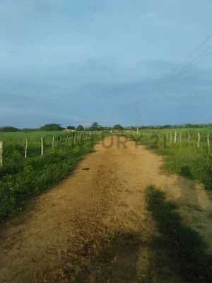farm/estate for sale in Sector Los Háticos, Miranda, Quisiro, Zulia
