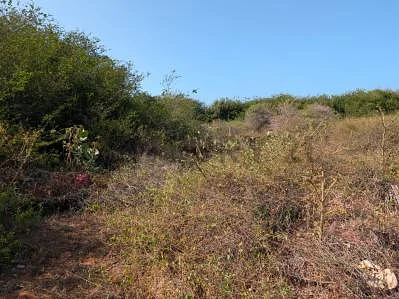Scenic beachfront land perspective