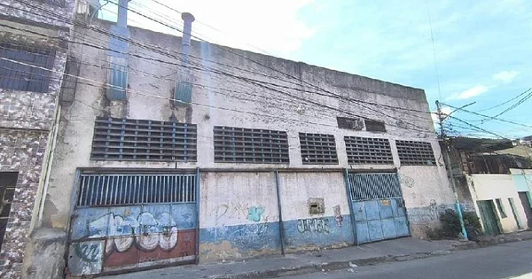 Cutira Catia Shed for sale - el molino 48, 1030 CCS - Commercial premises for sale