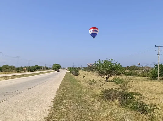 land of 20 hectares, for sale, Av Juan Bautista Arismendi, El Águila, Punta de Piedras, Nueva Esparta, Isla de Margarita, 220.000 sqm - Inmuebles Margarita - 2 MIL - Image 6