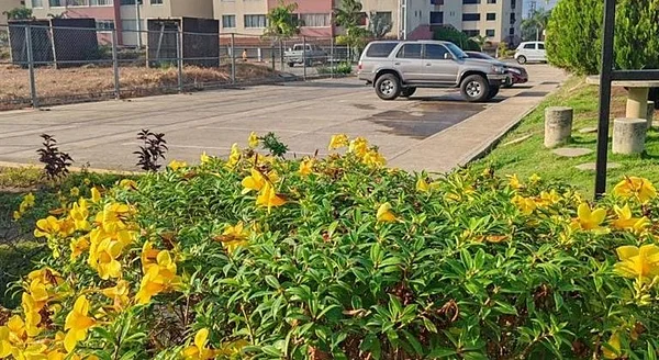Apartment sale - via putucual SN, 6023 Puerto La Cruz - Apartment for sale