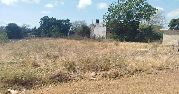 Ell Espinal Land, Margarita Island - Sector Guatacaral el Espinal Municipio Diaz Terreno El Espinal, 6320 Capital Díaz - Plot of land for sale