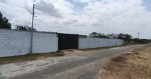 Productive farm 10 minutes from Alto Barinas Sur, El Toreño Sector - Via San Silvestre El Toreño, 5201 Barinas - Plot of land for sale