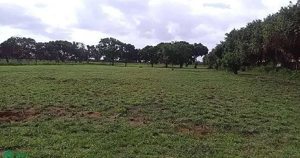 LAND FOR SALE ON THE INTERCOMMUNAL AVENUE OF THE CITY OF EL TIGRE - AVENIDA INTERCOMUNAL EL TIGRE - SAN JOSE DE GUANIP TERRENO AVENIDA INTERCOMU, 6050 El Tigre - Plot of land for sale
