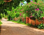 land, for sale, In residential complex Brisas de Guayamuri, Nueva Esparta, Isla De Margarita, 468 mt2 - Inmuebles Margarita - 2 MIL thumbnail 1