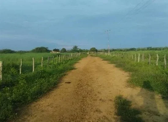 Productive farm with 188 hectares with abundant water, machinery - Calle 100 Finca Cooperativa Los Tac, 4036 Miranda - Plot of land for sale