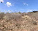land, for sale, En Las Barrancas, Nueva Esparta, Isla de Margarita, 21.840 mt2 - Inmuebles Margarita - 2 MIL thumbnail 3
