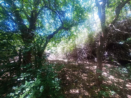 land, for sale, In Guacuco, Nueva Esparta, Isla de Margarita, 720 mt2 - Inmuebles Margarita - 2 MIL