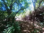 land, for sale, In Guacuco, Nueva Esparta, Isla de Margarita, 720 mt2 - Inmuebles Margarita - 2 MIL thumbnail 1