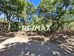 land, for sale, In La Asunción, In Sector Cocheima, Nueva Esparta, Isla de Margarita, 2204 mt2 - Inmuebles Margarita - 2 MIL thumbnail 2