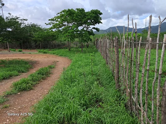 farm/estate, for sale, In Guatati, Nueva Esparta, Isla de Margarita, 30.516,12 sqm, 3 bedrooms and 5 bathrooms - Inmuebles Margarita - 2 MIL - Image 4