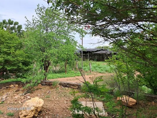 farm/estate, for sale, In Guatati, Nueva Esparta, Isla de Margarita, 30.516,12 sqm, 3 bedrooms and 5 bathrooms - Inmuebles Margarita - 2 MIL - Image 9