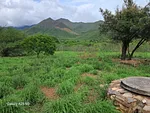 farm/estate, for sale, In Guatati, Nueva Esparta, Isla de Margarita, 30.516,12 sqm, 3 bedrooms and 5 bathrooms - Inmuebles Margarita - 2 MIL thumbnail 5