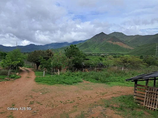 farm/estate, for sale, In Guatati, Nueva Esparta, Isla de Margarita, 30.516,12 sqm, 3 bedrooms and 5 bathrooms - Inmuebles Margarita - 2 MIL - Image 7