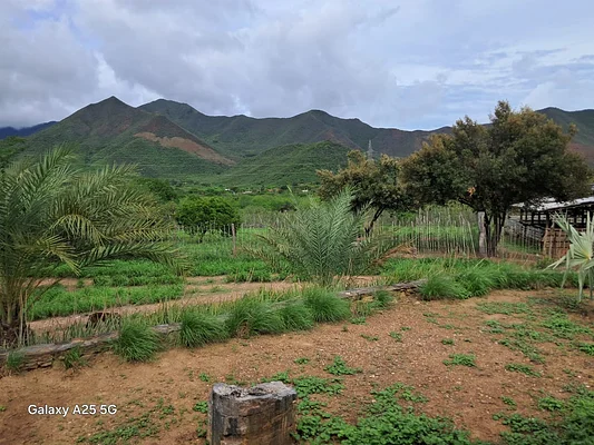 farm/estate, for sale, In Guatati, Nueva Esparta, Isla de Margarita, 30.516,12 sqm, 3 bedrooms and 5 bathrooms - Inmuebles Margarita - 2 MIL - Image 10