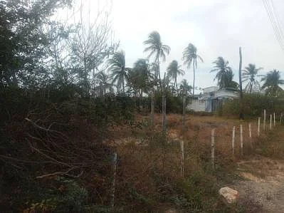 Sale of land in Sector Flamingo, Fernando Peñalver, Puerto Píritu, Anzoategui