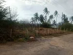 Sale of land in Sector Flamingo, Fernando Peñalver, Puerto Píritu, Anzoategui thumbnail 3