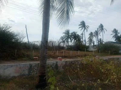 Tree-lined boundary fence