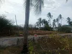 Sale of land in Sector Flamingo, Fernando Peñalver, Puerto Píritu, Anzoategui thumbnail 2
